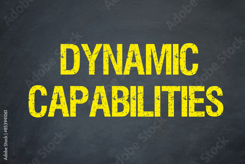 Dynamic Capabilities