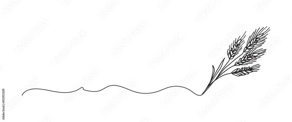 Wheat stalk continuous one line drawing, single line art element, minimalist sketch line vector illustration, autum and thanksgiving concept Wheat stalk continuous one line drawing, single line art element, minimalist sketch line vector illustration, autum and thanksgiving concept