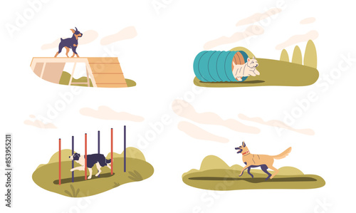 Dogs Undergoing Training In A Yard, Featuring Various Pieces Of Exercise Equipment Like Ramps, Tunnels And Poles