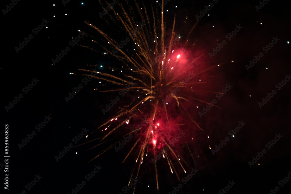 Fireworks blooming in the night sky Fireworks blooming in the night sky