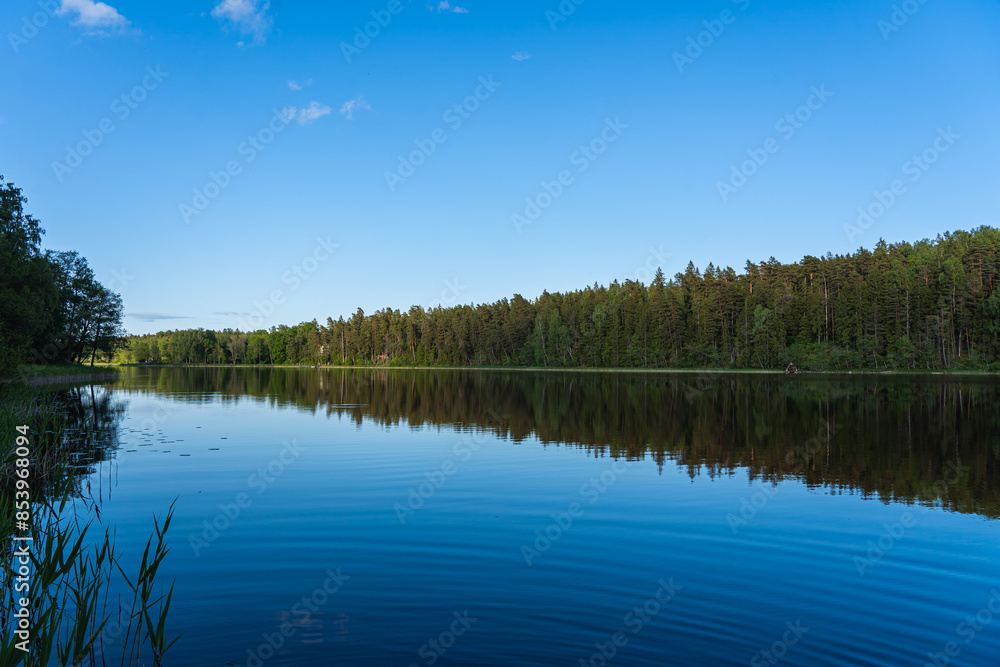 Obraz premium Reflection of sky, trees in lake water