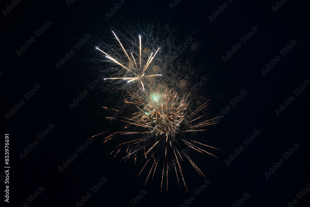 Fototapeta premium Fireworks blooming in the night sky