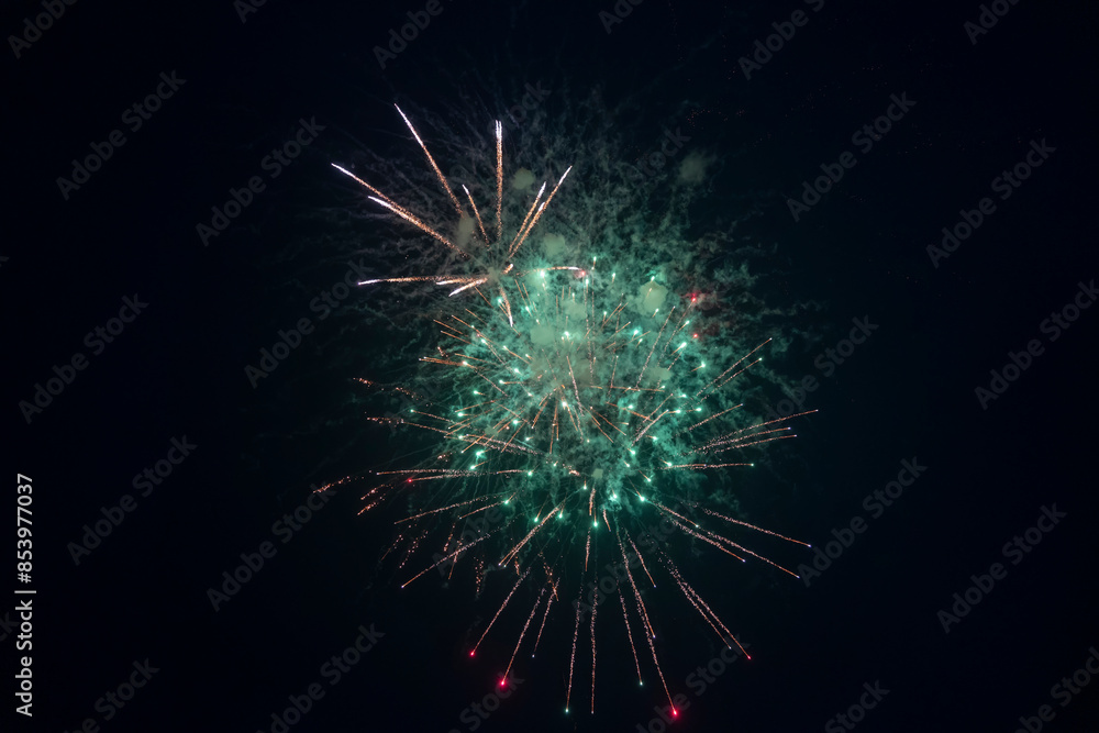 Fototapeta premium Fireworks blooming in the night sky
