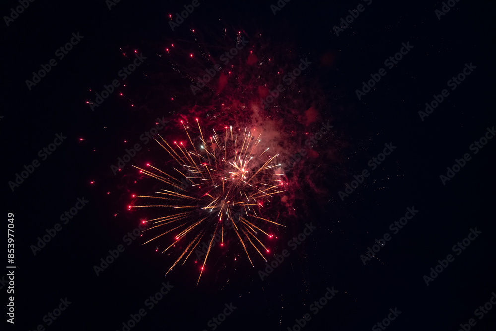 Fireworks blooming in the night sky Fireworks blooming in the night sky