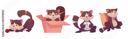 Funny Cat with Cute Snout as Domestic Pet Vector Set