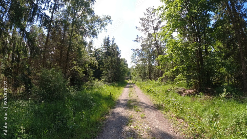 Fototapeta premium Plants, flower fields and animals in Hesse