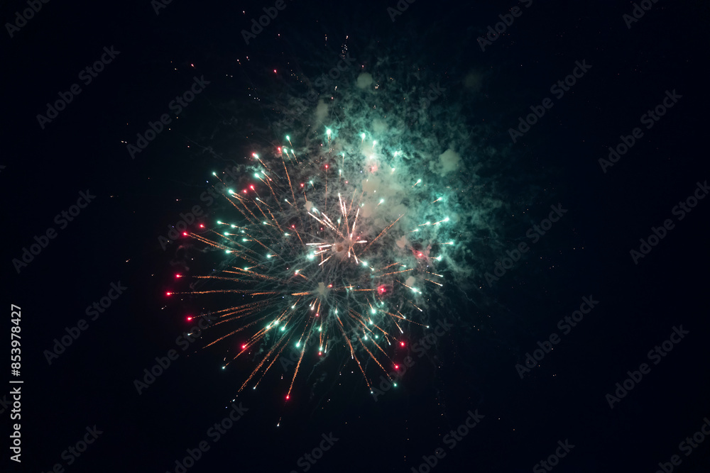 Fireworks blooming in the night sky Fireworks blooming in the night sky