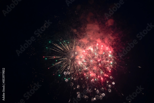 Fireworks blooming in the night sky