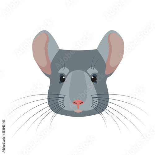 Chinchilla face or head front view. Cute gray fluffy pet icon. Rodent animal. Vector illustration isolated on white background.