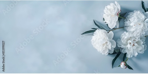 Fototapeta Naklejka Na Ścianę i Meble -  Vintage ink sketch of peonies in blue ideal for wedding decor. Concept Wedding Decor, Vintage Art, Peonies, Blue Theme, Ink Sketch