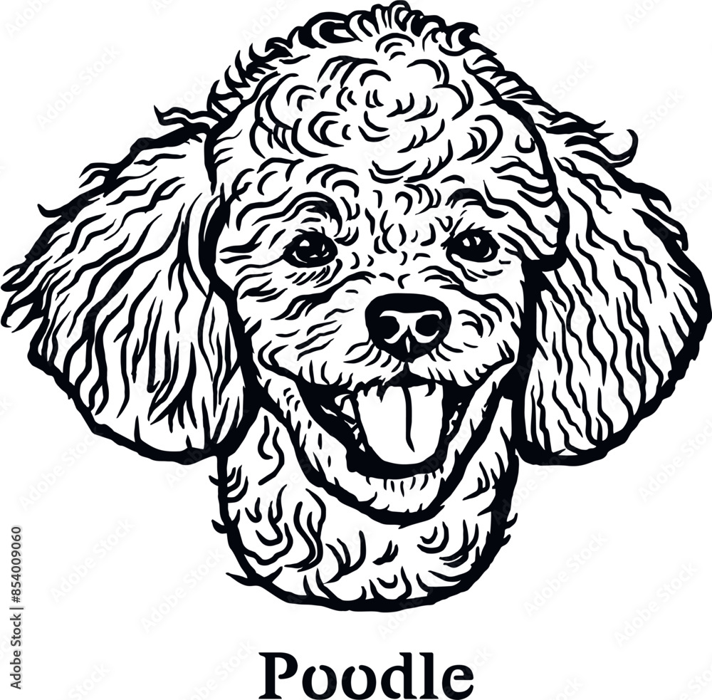 Poodle - Funny Dog, Vector File, Cut Stencil for Tshirt Poodle - Funny Dog, Vector File, Cut Stencil for Tshirt