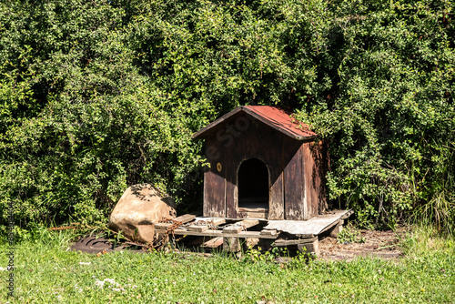 Wooden dog house in farm yard closeup on sunny summer day