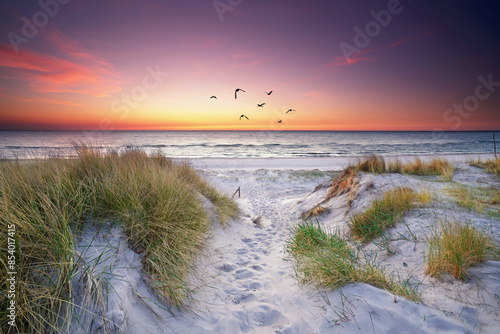 Fototapeta Naklejka Na Ścianę i Meble -  sandy way to the beach threw the dunes at Baltic Sea