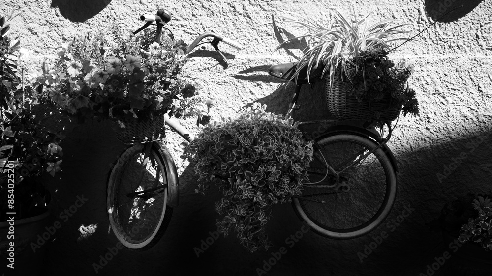 Foto scattata nel centro storico di Capoliveri ad una bicicletta appesa con addobbi floreali.