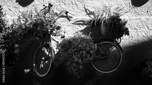 Obraz na płótnie Foto scattata nel centro storico di Capoliveri ad una bicicletta appesa con addobbi floreali. w salonie
