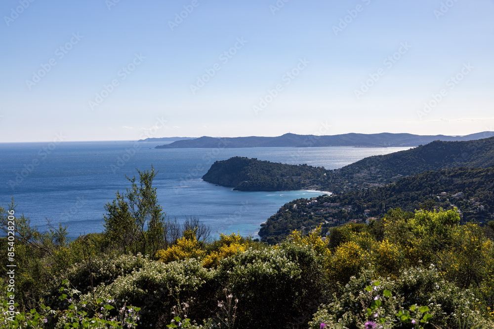 Archipelago off Hyeres in the Mediterranean with flowers at foreground Archipelago off Hyeres in the Mediterranean with flowers at foreground