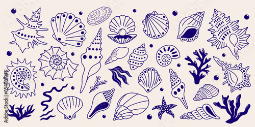 Abstract sea shells, plants shapes and forms vector illustration set for design. Different types of exotic underwater seashells marine aquatic ocean decorative outlined, funky elements collection.