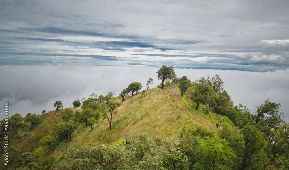 Fototapeta premium landscape with clouds