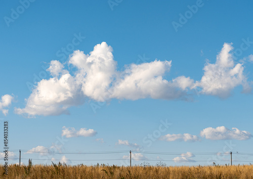 clouds over the field