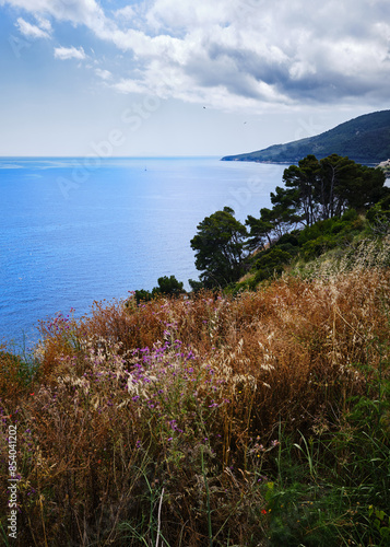 Foto scattata lungo il sentiero che collega Porto Azzurro alla famosa Spiaggia del Barbarossa.