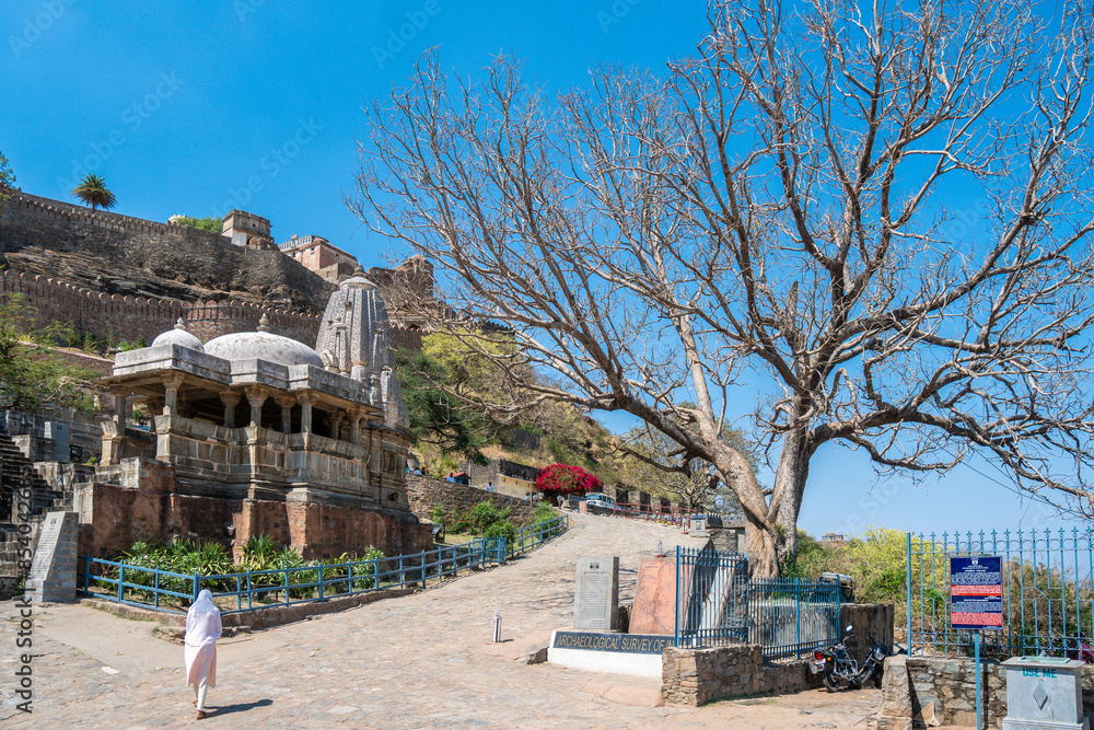 A beautiful Kumbhalgarh Fort stands on a hill with a pink flower in the foreground A beautiful Kumbhalgarh Fort stands on a hill with a pink flower in the foreground