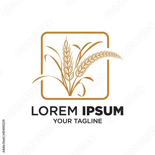 Rice and Wheat Farm Logo Design, Vector Rice and wheat Icon Template Illustration