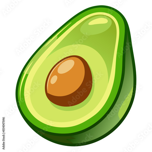 illustration of avocado
