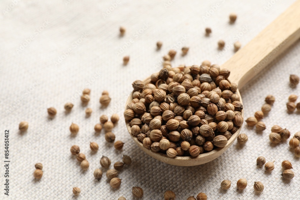 Spoon with dried coriander seeds on light cloth, closeup Spoon with dried coriander seeds on light cloth, closeup