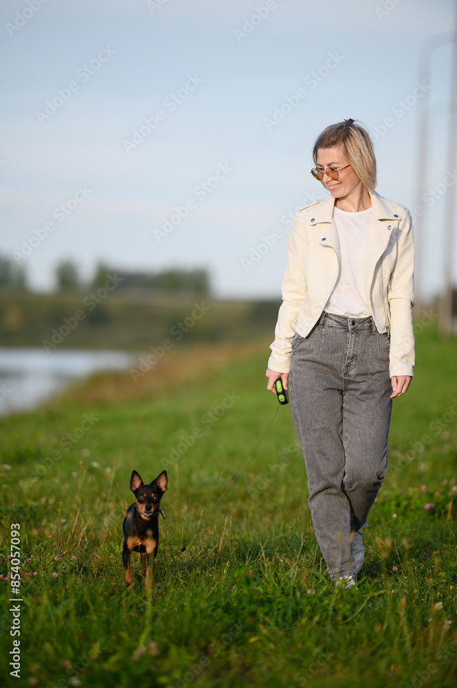 Woman walks through grassy field with small smooth-haired Russian Toy Terrier dog on leash, with joy and satisfaction, surrounded by nature. Pet care. Vertical. Woman walks through grassy field with small smooth-haired Russian Toy Terrier dog on leash, with joy and satisfaction, surrounded by nature. Pet care. Vertical.
