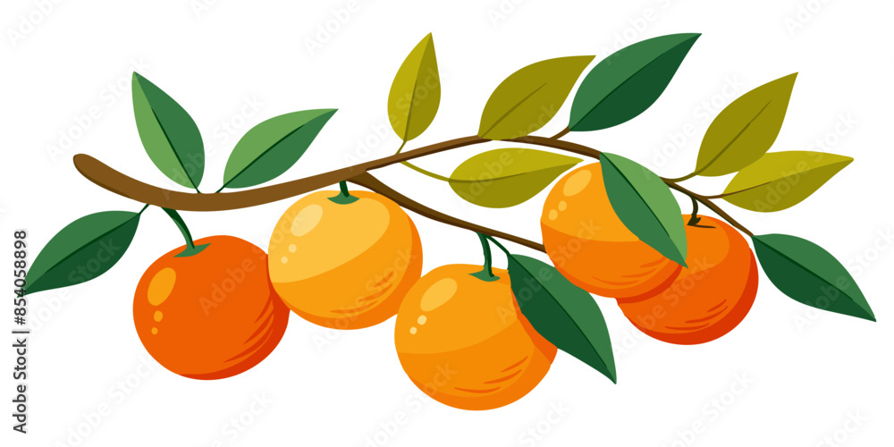 orange branch with leaves orange branch with leaves