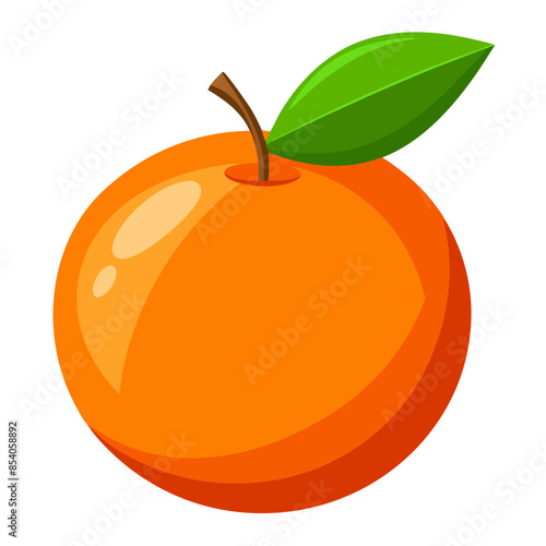 orange fruit vector illustration