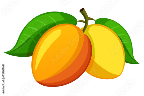 mango with leaves and branch