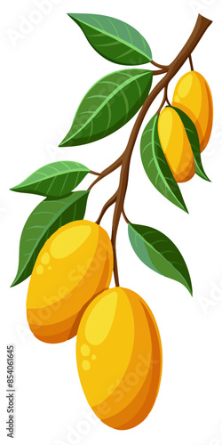 mango with leaves and branch