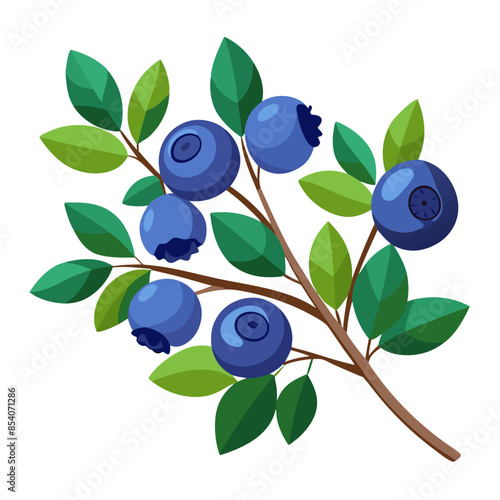 illustration of a blueberry