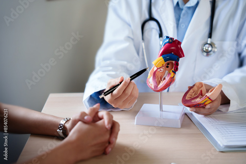 Fotografija Cardiologist doctor showing anatomical of human heart to patient, heart disease