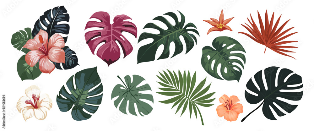Tropical leaves, plants. Vector modern floral illustrations of tropic print, palm leaf, monstera. Tropical leaves, plants. Vector modern floral illustrations of tropic print, palm leaf, monstera.