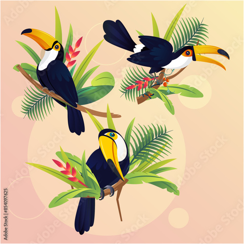 Set of Tropical bird toucan cartoon animal design.