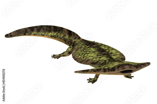 Diplocaulus Reptile - Diplocaulus was an amphibian tetrapod that lived in the Permian and Carboniferous Periods of North America and Africa. photo