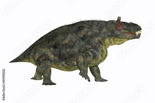 Estemmenosuchus Permian Animal - Estemmenosuchus uralensis was an omnivorous therapsid animal that lived in the Permian Period of Russia. photo
