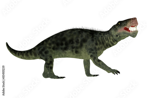 Inostrancevia cat-like Predator - Inostrancevia was a carnivorous cat-like animal that lived in Russia during the Permian Period.
