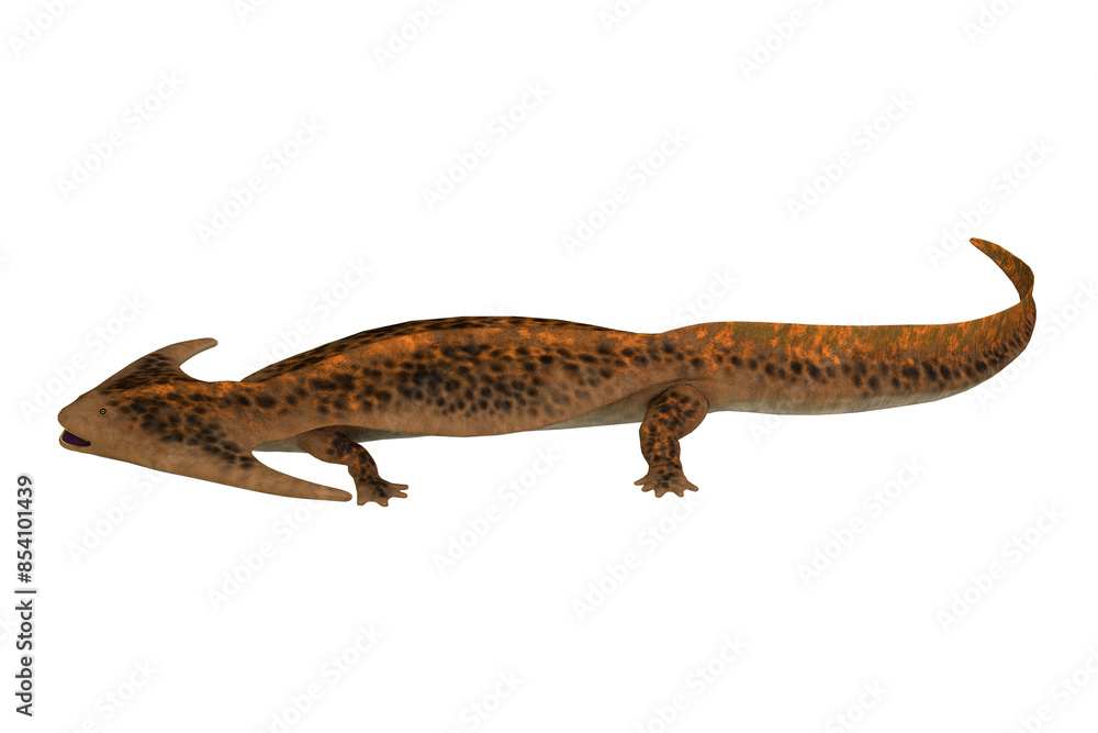 Permian Diplocaulus Reptile - Diplocaulus was an amphibian tetrapod that lived in the Permian and Carboniferous Periods of North America and Africa. Permian Diplocaulus Reptile - Diplocaulus was an amphibian tetrapod that lived in the Permian and Carboniferous Periods of North America and Africa.