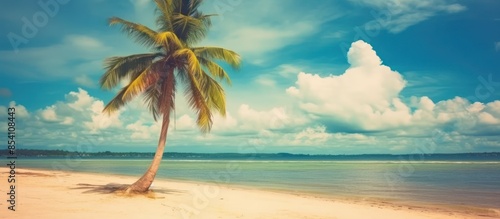 Lone Palm Tree on a Tropical Beach