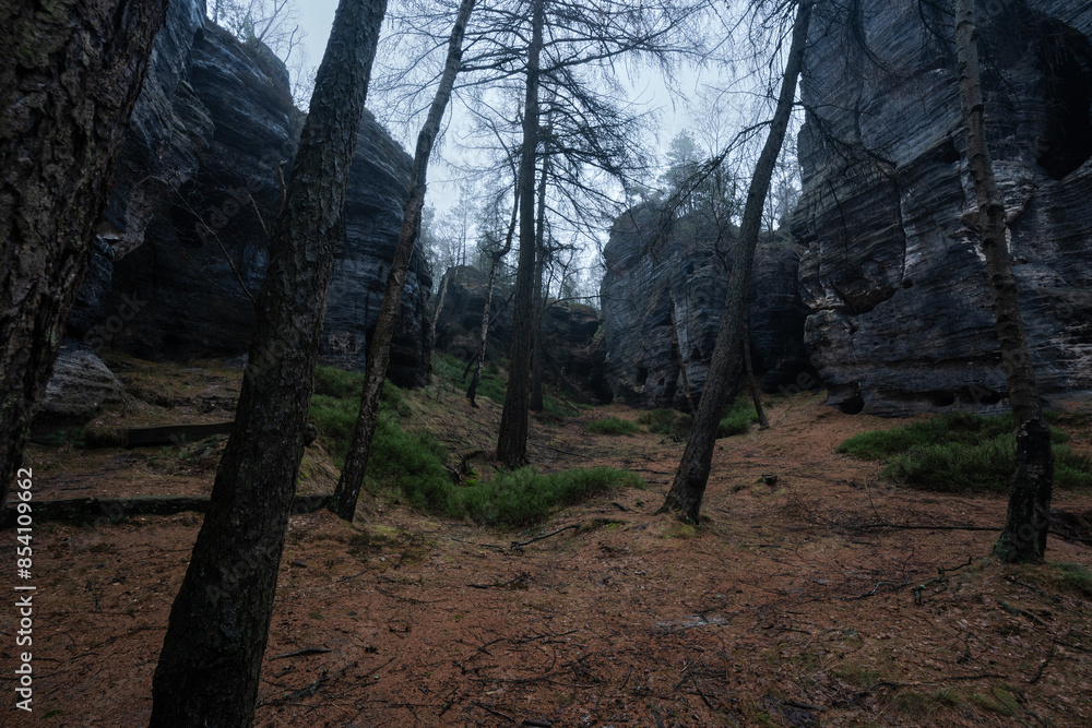 Obraz premium Gloomy and totally moody path lost in the foggy rocks with the best dark and mystic atmosphere in the north of Bohemia.