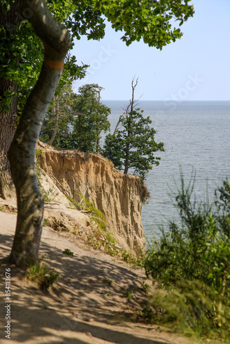 Landscape with a sandy cliff on a sunny summer day with the sea in the background.
