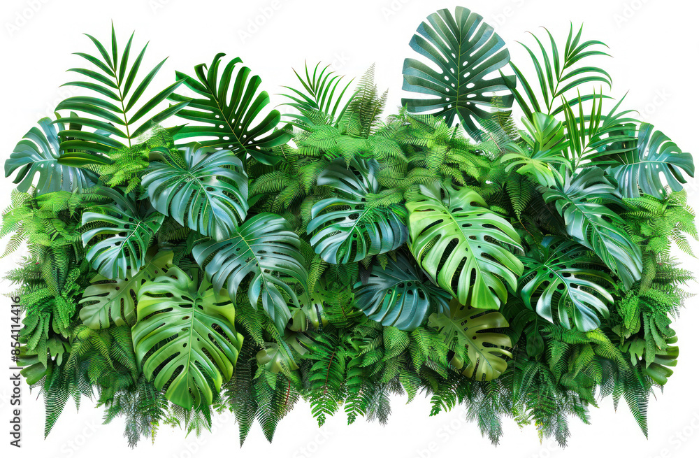 Assorted green tropical leaves on transparent Assorted green tropical leaves on transparent