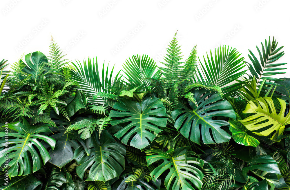 Fototapeta premium Lush tropical foliage against a bright background