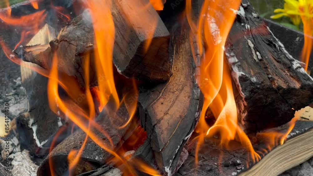 Close-up of a campfire with burning logs and flames. Close-up of a campfire with burning logs and flames.