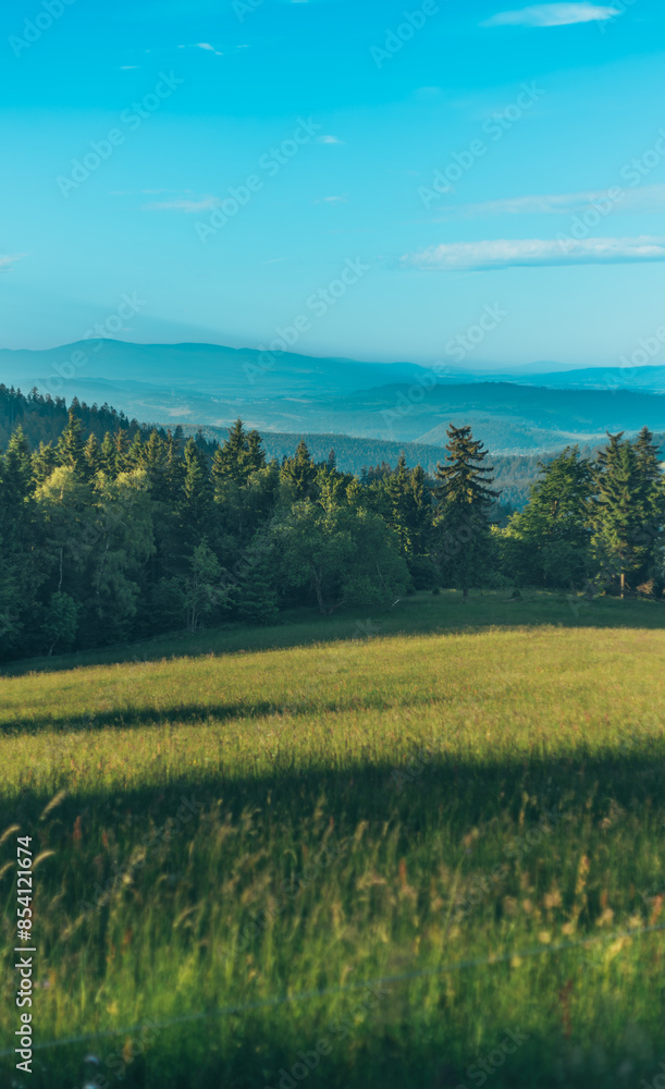 landscape with trees landscape with trees