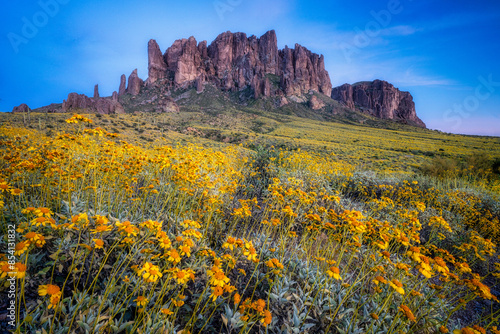 Superstition Mountain Spring photo