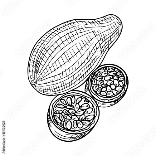 Passion fruits and papaya isolated concept, line art, ripe exotic fruits